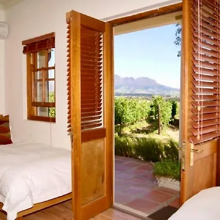 Lovane Boutique Wine Estate And Guesthouse-2